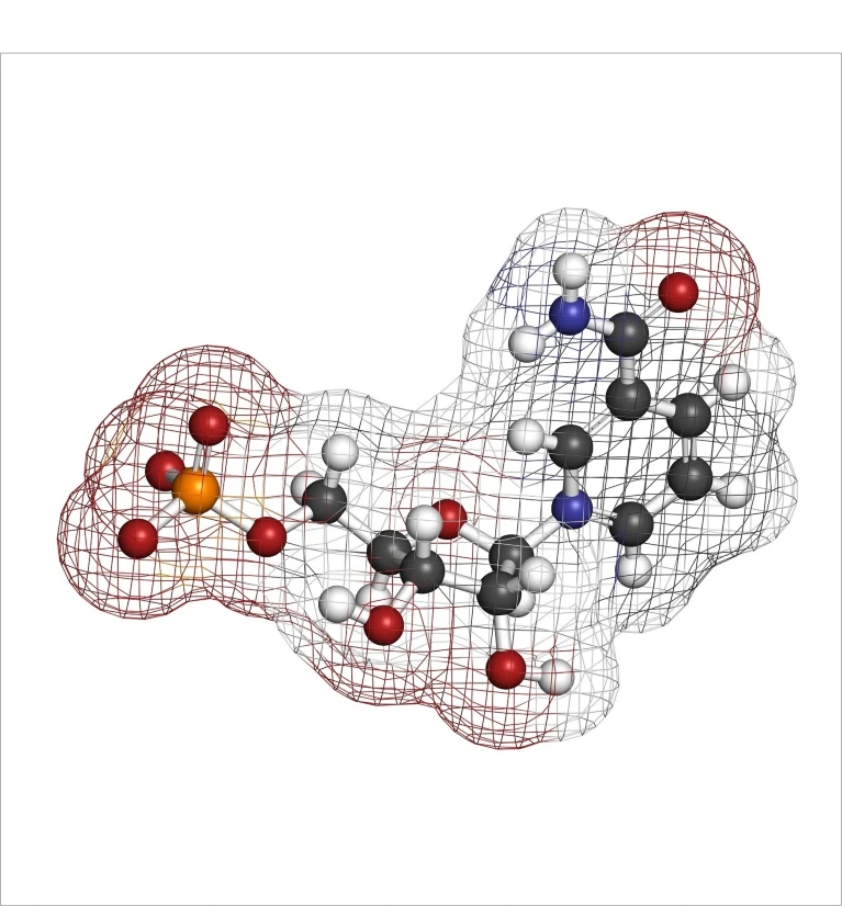 烟酰胺单核苷酸（NMN）的分子结构.png