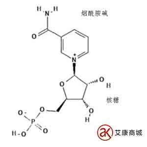 烟酰胺单核苷酸（NMN）的化学结构.jpg
